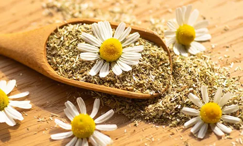 عصاره خوراکی بابونه ( کامازولن )