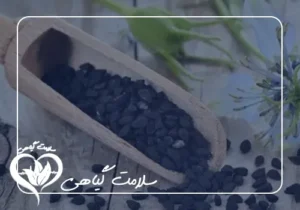 بررسی خواص سیاه دانه برای آقایان