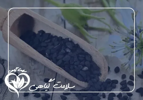 بررسی خواص سیاه دانه برای آقایان