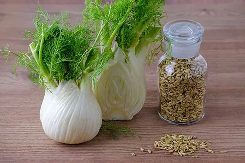 عصاره خوراکی رازیانه ( آنتول )