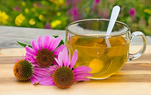 عصاره خوراکی سرخارگل ( اکیناسه )