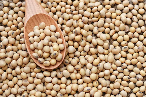 معجون سویا (سویا)