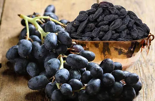 معجون درمانی رزبن (مویز)