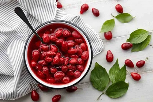 معجون درمانی روسا (میوه نسترن)
