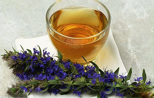 عصاره خوراکی زوفا
