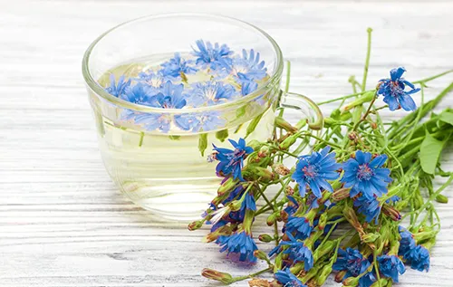 عصاره خوراکی کاسنی ( اینولین )