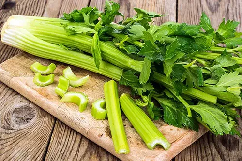 عصاره خوراکی کرفس ( آپیوم )