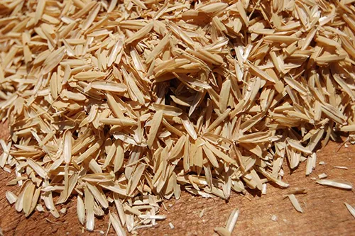عصاره موضعی شلتوک برنج