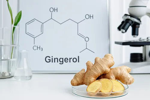 آشنایی با اینکه جینجرول چیست و چه کاربردهایی دارد؟