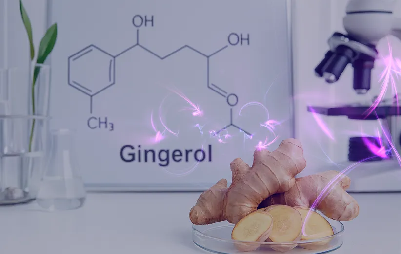 جینجرول چیست و چه کاربردهایی دارد؟