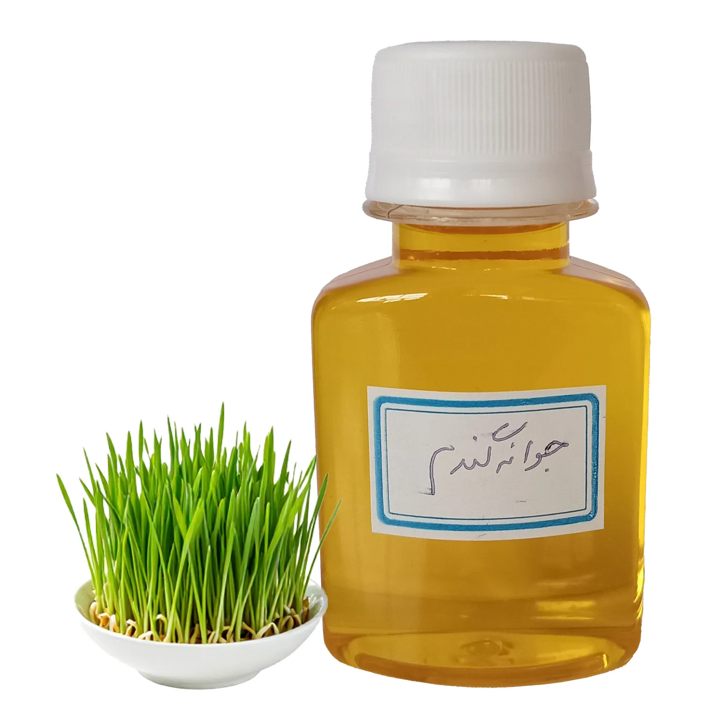 روغن جوانه گندم